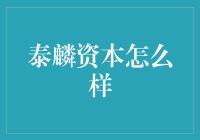 泰麟资本：引领科技创新的金融引擎