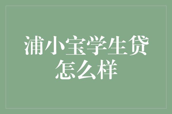 浦小宝学生贷怎么样