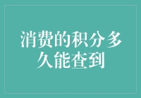 消费积分查询：时效性与信用积分系统优化的新趋势