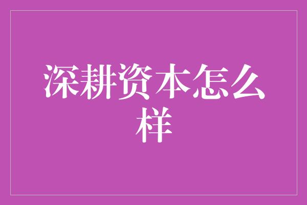 深耕资本怎么样