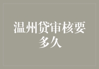 温州贷审核流程详解：从提交到放款要多久？