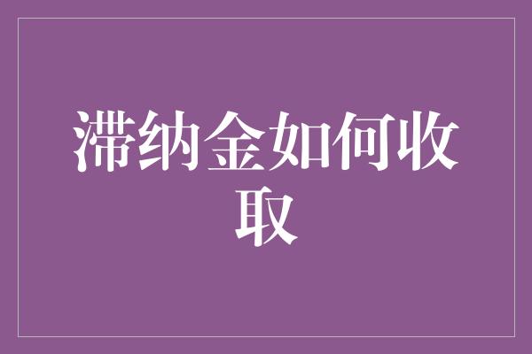 滞纳金如何收取