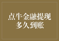 点牛金融提现到账时间解析：用户需知的关键信息