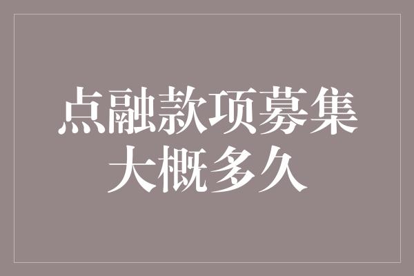 点融款项募集大概多久