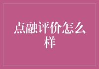 点融评价解析：专业视角下的平台安全性和用户体验分析