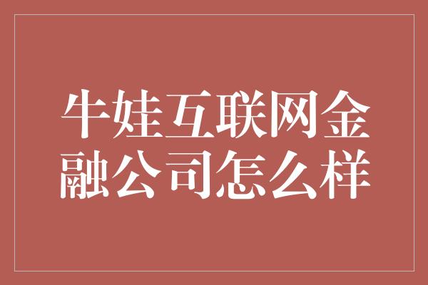 牛娃互联网金融公司怎么样