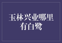 玉林市兴业县哪里有白鹭？白鹭栖息地探索与保护