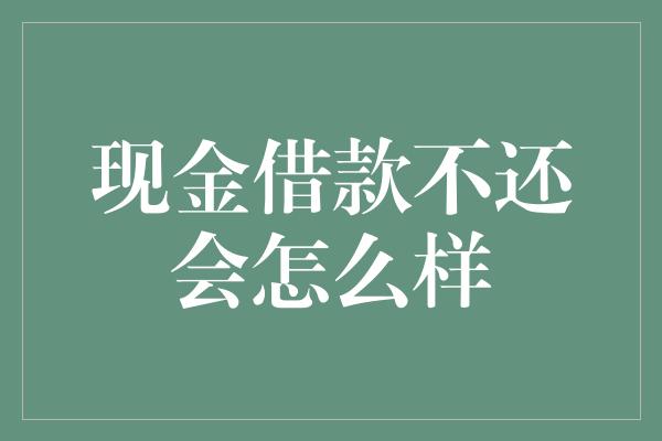 现金借款不还会怎么样