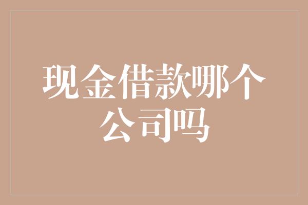 现金借款哪个公司吗