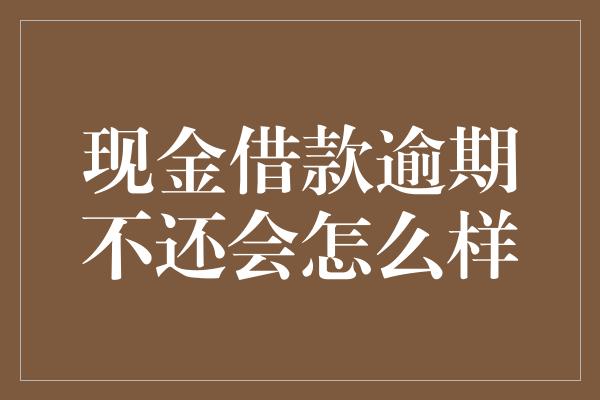 现金借款逾期不还会怎么样