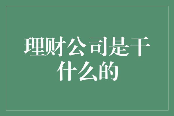 理财公司是干什么的