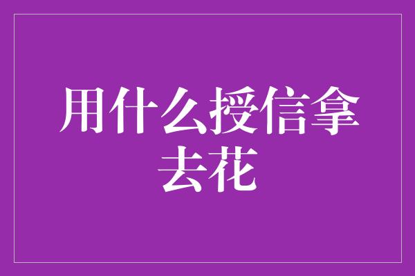 用什么授信拿去花