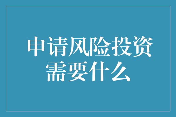 申请风险投资需要什么