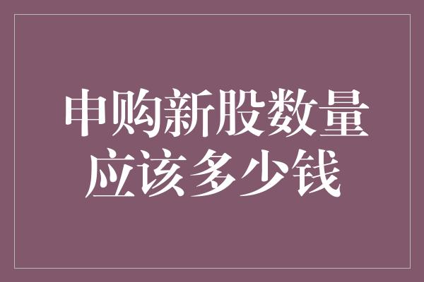 申购新股数量应该多少钱