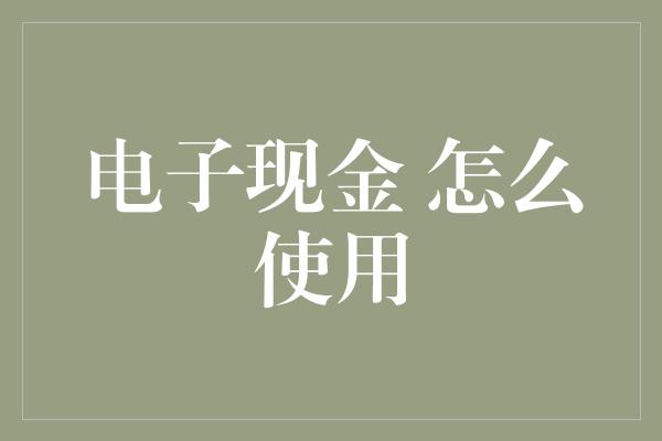 电子现金 怎么使用