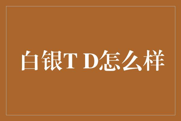 白银T D怎么样