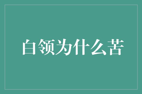 白领为什么苦