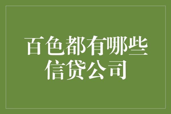 百色都有哪些信贷公司