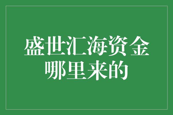 盛世汇海资金哪里来的