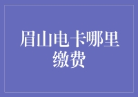 眉山电卡缴费方式新探