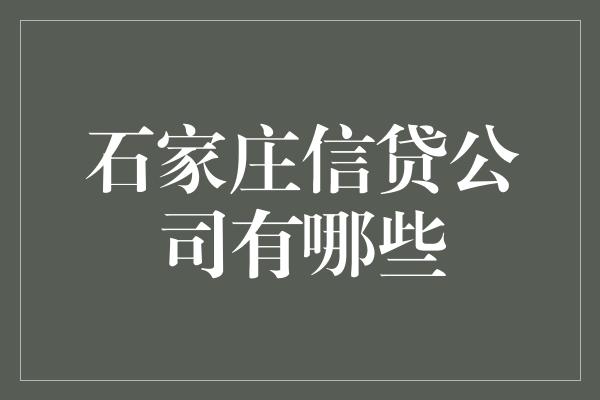 石家庄信贷公司有哪些