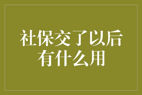 社保交了以后有什么用