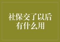 社保交了以后有什么用：揭开社会保障的神秘面纱