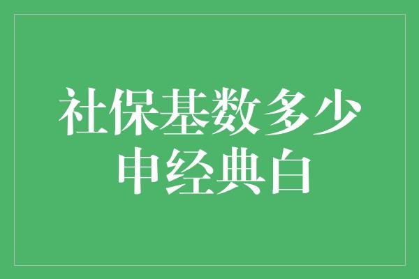 社保基数多少申经典白