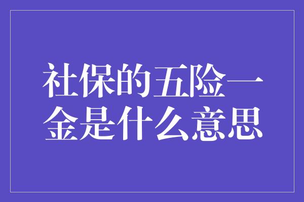 社保的五险一金是什么意思