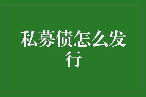 私募债怎么发行