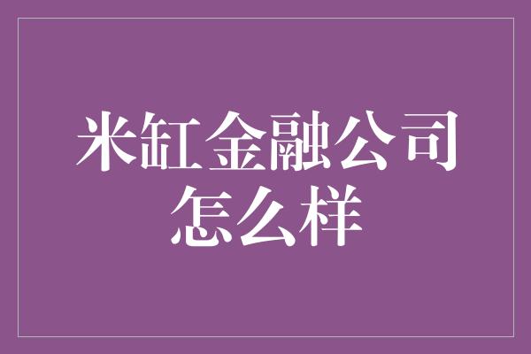 米缸金融公司怎么样