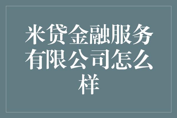 米贷金融服务有限公司怎么样