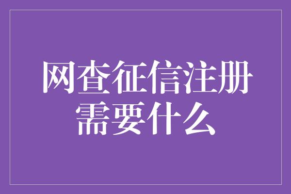 网查征信注册需要什么