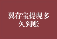 翼存宝提现到底要等多久？一探究竟！