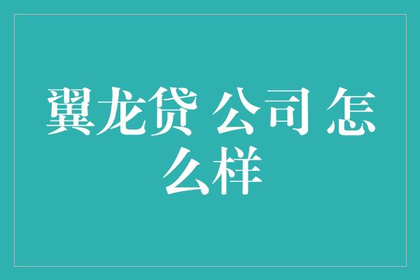 翼龙贷 公司 怎么样