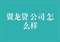 翼龙贷：普惠金融的先锋与挑战