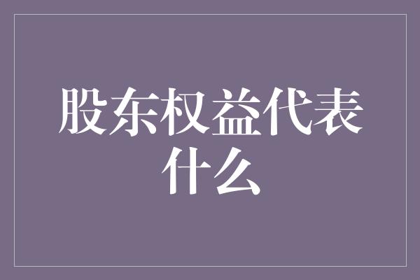 股东权益代表什么