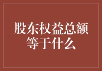 股东权益总额等于什么：深入解析