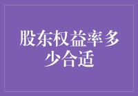 股东权益率多少合适：构建企业稳健增长的基石