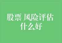 股票投资的风向标：如何有效地进行风险评估与筛选