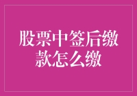 股票中签后缴款操作指南：确保顺利参与新股申购