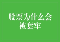 股票市场复杂性：为何投资者会被套牢