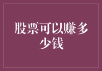 股票投资：从百万富翁到百万负翁的终极指南