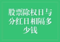 股票除权日与分红日：一场神秘的时空距离大冒险