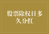 股票除权日：红利分配的窗口期探析