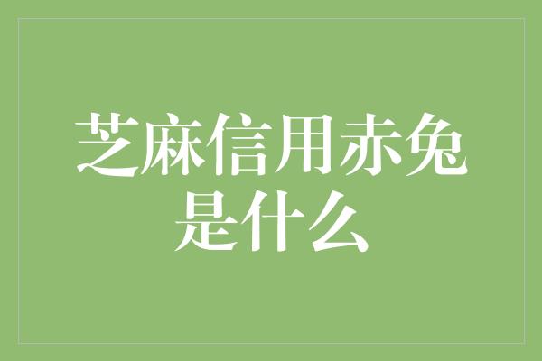 芝麻信用赤兔是什么