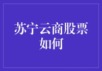 苏宁云商：股票投资的策略与实践