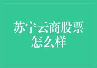 苏宁云商：电商平台转型下的业绩与前景分析