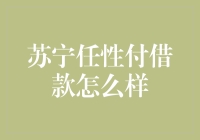 苏宁任性付：借钱也有任性之道