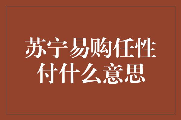 苏宁易购任性付什么意思